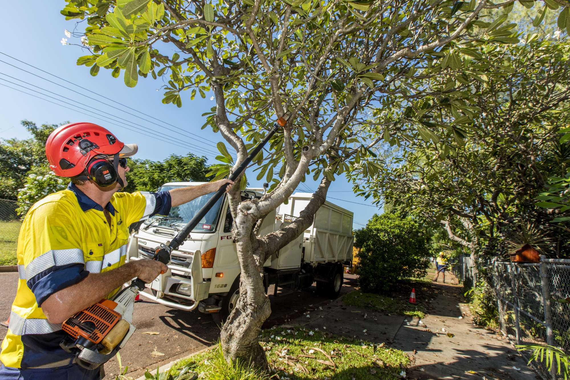 Tree in seattle falls on woman